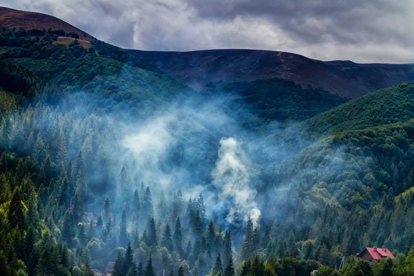 연기는 Carpathians에서 산의 계곡에서 — 스톡 사진