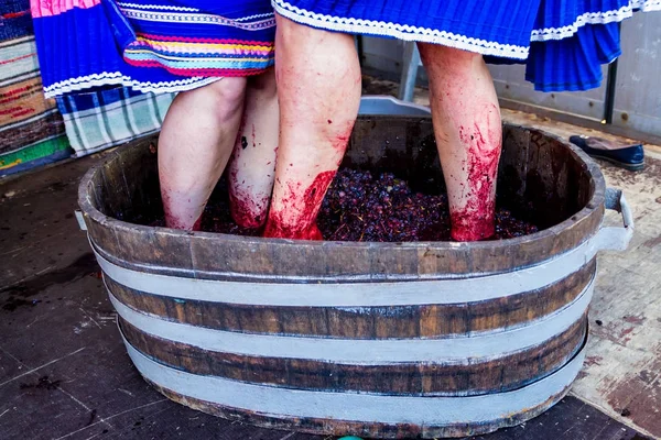 İkinci etnik Bobovischenske Grono içinde Zaka Festivali yapıldı.