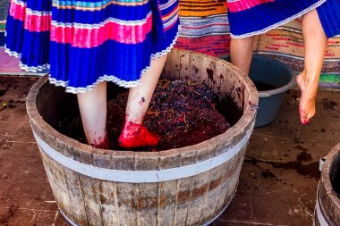 İkinci etnik Bobovischenske Grono içinde Zaka Festivali yapıldı.