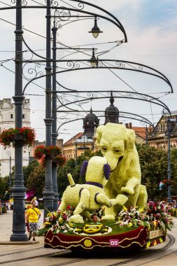 48 çiçek karnaval Debrecen, Macaristan
