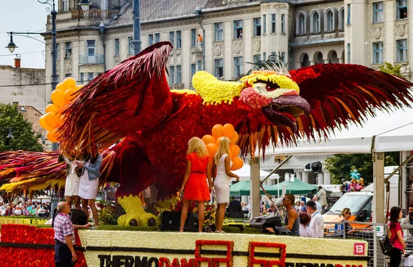 48 çiçek karnaval Debrecen, Macaristan