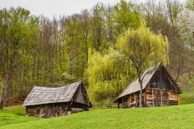 Shepherd'ın ev ormanın kenarında bir ahır ile