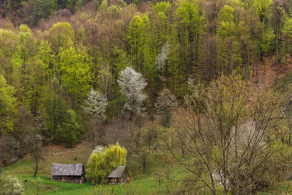 Shepherd's house met een schuur aan de rand van het bos — Stockfoto