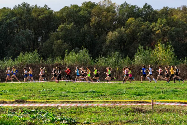 Oekraïense veldloopkampioenschappen in Oezjgorod — Stockfoto