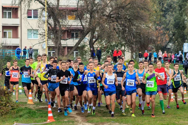 Ουκρανικό πρωτάθλημα Cross Country στο Uzhgorod — Φωτογραφία Αρχείου