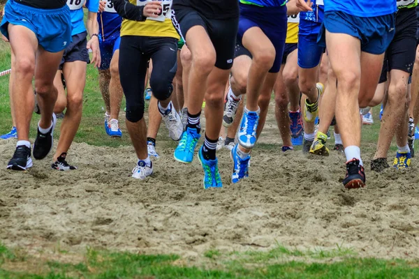 Ukrainska Cross Country Championships i Uzhgorod — Stockfoto