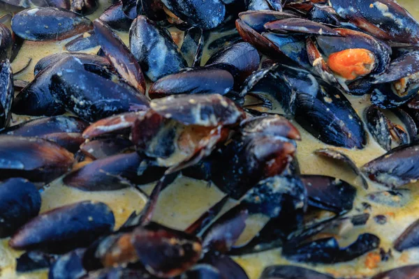 Moules fraîchement cuites avec sauce au fromage dans une casserole — Photo