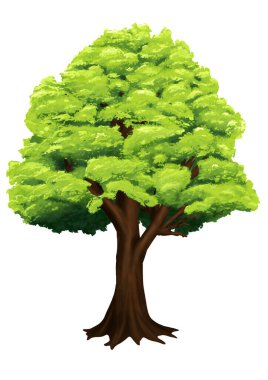 Büyük yapayalnız yeşil ağaç