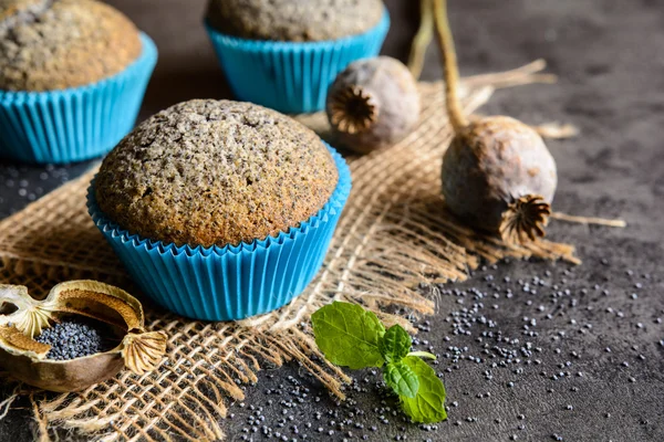 Vallmofrön muffins — Stockfoto