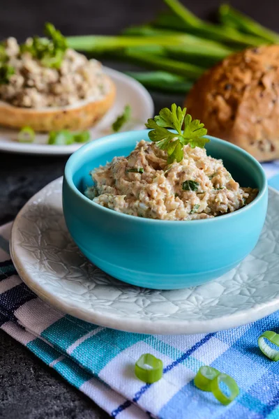 Entenfleisch mit Zwiebeln, Senf und Kräutern — Stockfoto