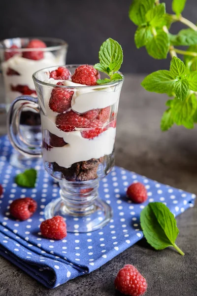 Heerlijke framboos trifle — Stockfoto