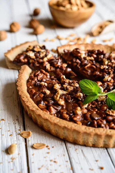 Вкусный шоколадный пирог с грецким орехом, арахисом, сушеной клюквой и изюмом — стоковое фото