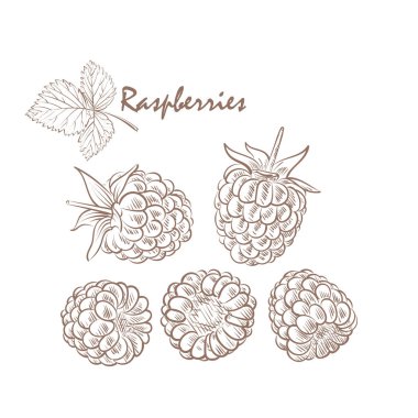 Olgun ahududu ile beyaz arka plan üzerinde yapraklar.