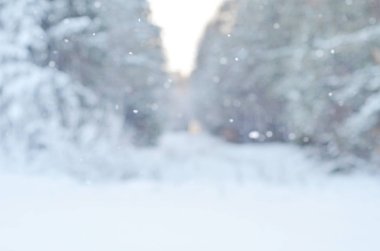 Bulanık Wnter arka plan.