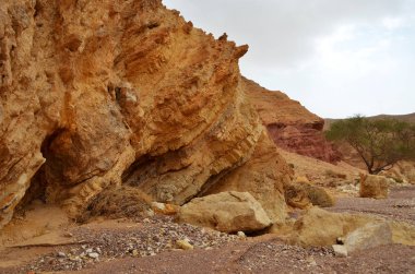 Eilat, İsrail dağlarında Red Canyon kumtaşı kayalıklarla.