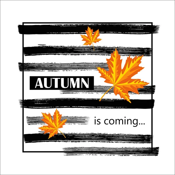 Autumn is coming banner with autumn leaves and with ink hand painted stripes. — Stock Vector