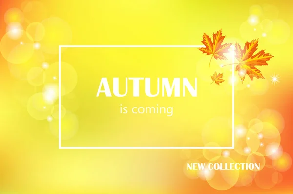 Autumn is coming banner with fall background. — Stock Vector