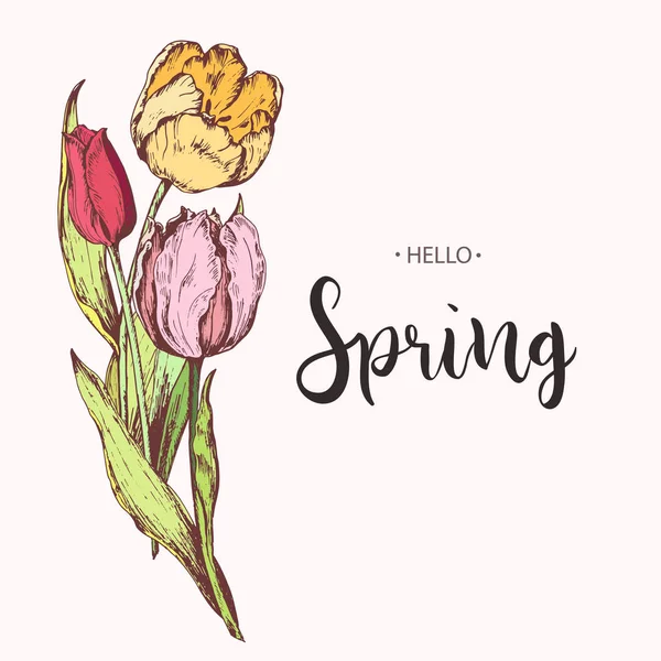 Inschrift Hallo Frühling Auf Dem Hintergrund Mit Handgezeichneten Blumen Vektorillustration — Stockvektor