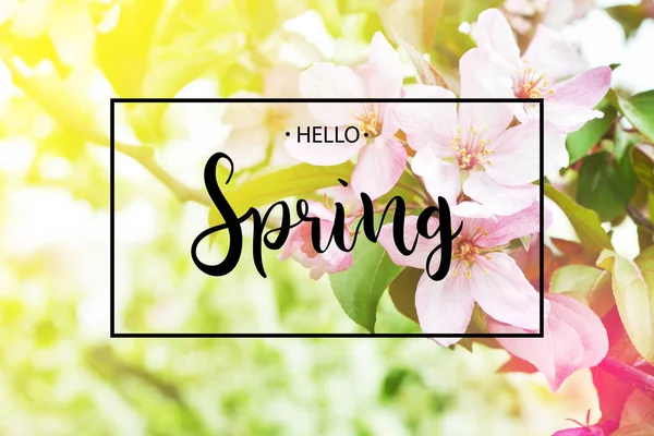 Inschrift Hallo Frühling Auf Hintergrund Mit Frühlingsblüten — Stockfoto