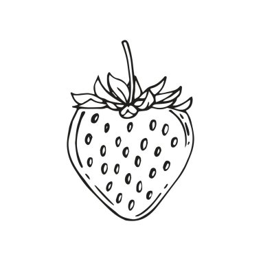 Bahçe veya vahşi orman Berry çilek meyve izole kroki.