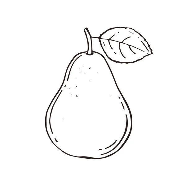 Pear Doodle Style Icons Vector Illustration Design Gambar Tangan - Stok Vektor