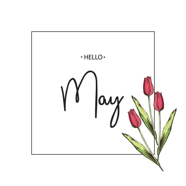 Inskripsi Hello May Latar Belakang Dengan Gambar Tangan Bunga Ilustrasi - Stok Vektor