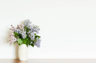 Ev dekorasyonu, beyaz bir duvar arkasında vazoda leylak çiçekleri. İç mekan. - Görüntü