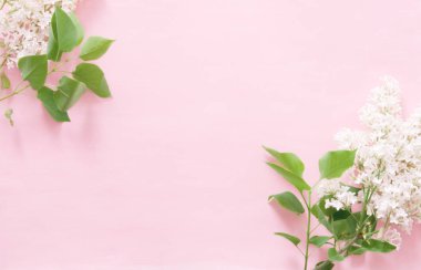 Pembe arka planda leylak çiçekleri. Bahar çiçekleri. Üst görünüm, düz görünüm, kopyalama alanı. - Görüntü