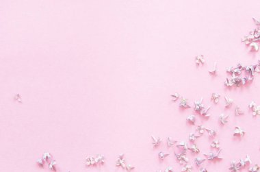 Pembe arka planda leylak çiçekleri. Bahar çiçekleri. Üst görünüm, düz görünüm, kopyalama alanı. - Görüntü