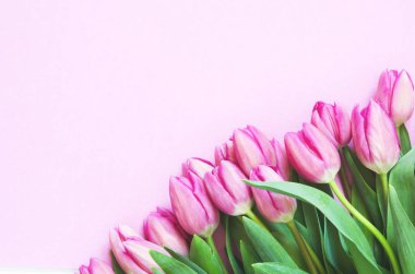 Pembe arka planda lale çiçekleri. Düz yerde, üst tarafta. Anneler günü için lale, düğün ya da mutlu bir olay içeren hoş bir tebrik kartı..