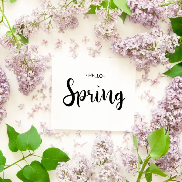 Aufschrift Hallo Frühling Lila Blüten Auf Weißem Hintergrund Frühlingsblumen Draufsicht — Stockfoto