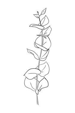 Beyaz arka planda izole edilmiş çizilmiş yaprak. Soyut asgari bitkiler. - vektör illüstrasyonu.