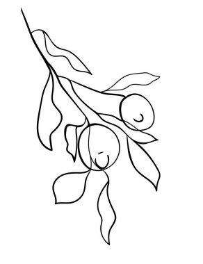 Dalda soyut limon meyvesi. Çizgi çizme. - Vektör illüstrasyonu