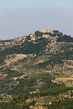 Ajloun dağlar üzerinde tarihsel ajloun kale
