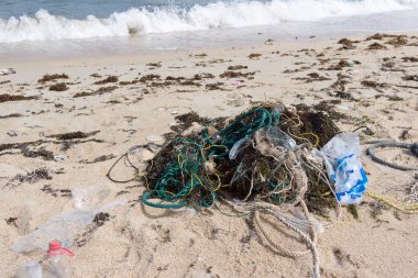 Plaj plastik kirliliği