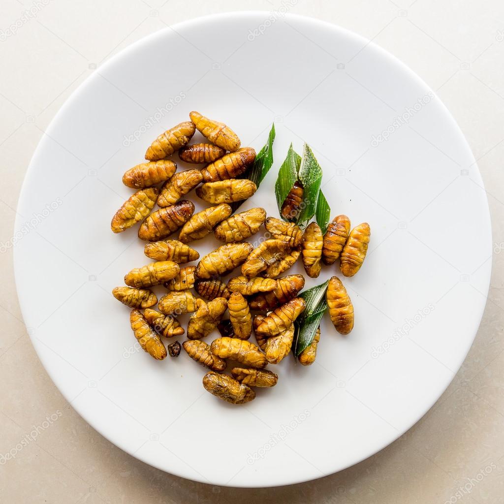 Roasted silk worms on a white plate