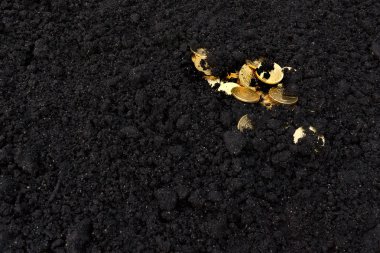 Kara toprağı altın paralar