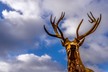 Mavi gökyüzü karşı büyük boynuzları ile özel