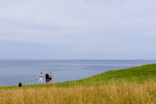 Familia de pie en la hierba por encima del mar —  Fotos de Stock