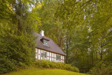 Eski ahşap masal evi, Hansel ve Gretel, yeşil ormanın içinde bir tepe üzerinde