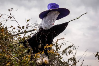 Şenlik ateşi cadı bonfir üzerinde büyük şapkalı üzerinde büyük şapkalı bir cadı