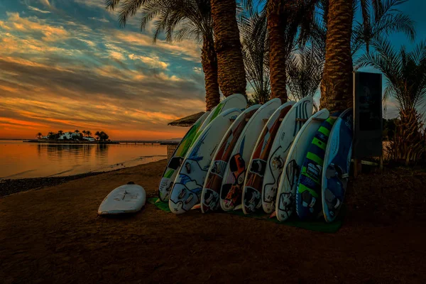 2020年1月16日エジプト グナの日没時にビーチのヤシの木と向かい合うウィンドサーフィンボード — ストック写真