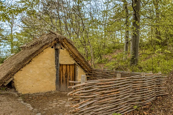 2020年4月29日デンマーク フレデリクスンド周辺の葦と柵で覆われた小さなバイキングハウスの再建 — ストック写真