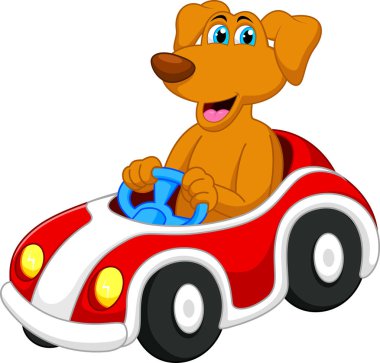 Beyaz arka planda oyuncak arabası olan köpek. 