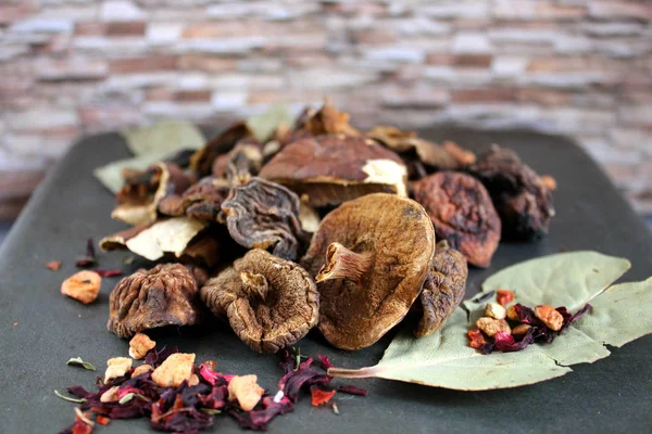 Taştan bir duvar arka plan üzerinde kurutulmuş mantar