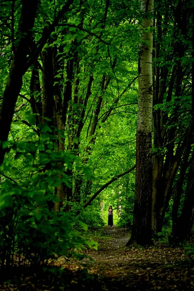 Ein Mädchen steht am Ende eines Weges in einem magischen grünen Wald. — Stockfoto