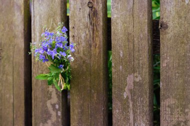 Küçük ve narin buket mavi orman ahşap yüzeye