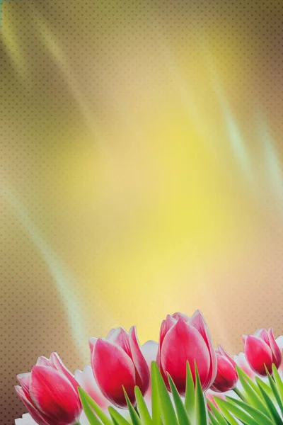 Red tulips on yellow-brown background — Stock Photo, Image