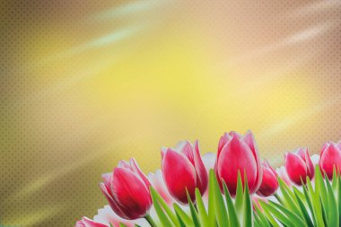 sarı-kahverengi zemin üzerine kırmızı lale