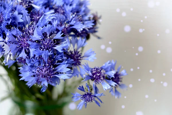 Cornflowers의 블루 필드 꽃의 꽃다발. — 스톡 사진